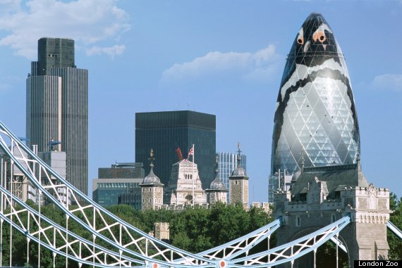 gherkin to penguin