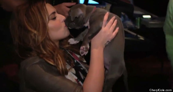 cheryl cole dog