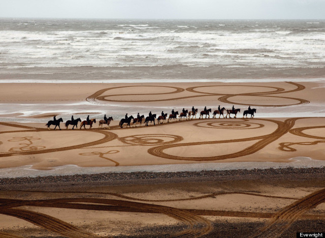 walking drawings cumbrian heavy horsesprint