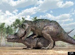 Dinosaures : une position du missionnaire pour éviter la castration ?