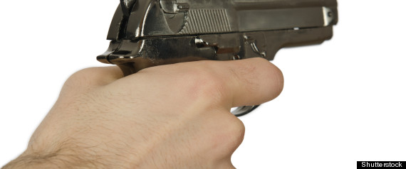 Gun