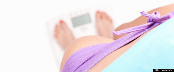Global Fat Scale