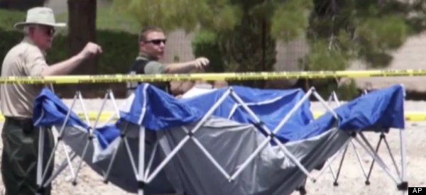 Las Vegas Chimp Shot Dead Was 'Angry Young Adult, Full Of Testosterone'