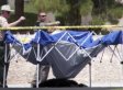 Las Vegas Chimp Shot Dead Was 'Angry Young Adult, Full Of Testosterone'