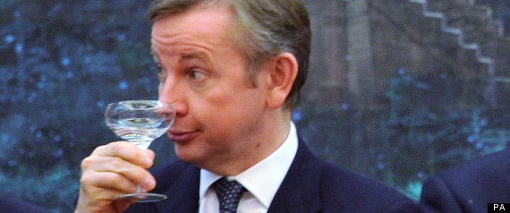 Mojito Gove