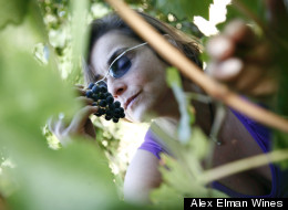 How Going Blind Helped Her Business