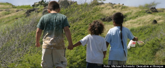 Actividades Familiares Bosque
