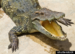 Only in Florida People, Only in Florida