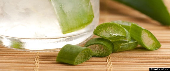 Aloe Vera