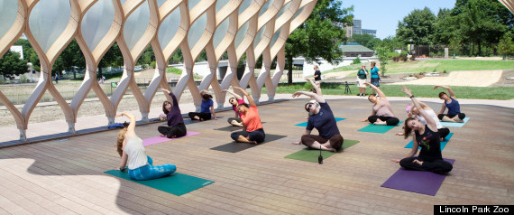 Yoga Au Zoo
