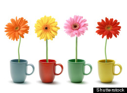 Quit Killing Your Flowers -- Here Are 10 Tips To Keep Them Alive Longer