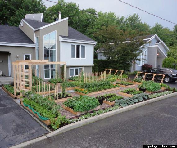 Illegal Front Yard Garden: Canadian Couple's Kitchen Garden ...