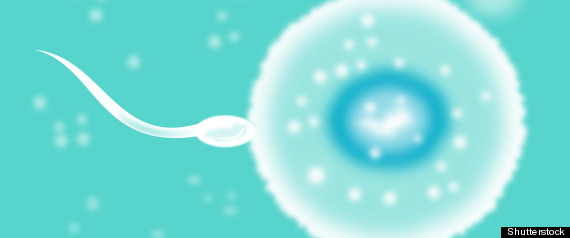 Fertility