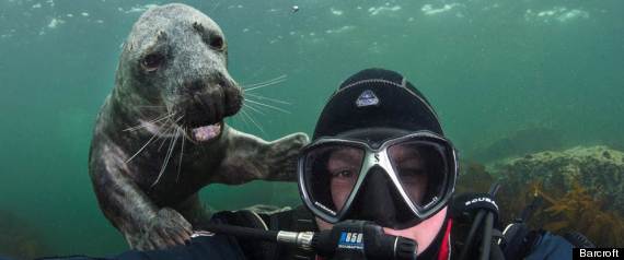 PICTURES OF THE DAY
