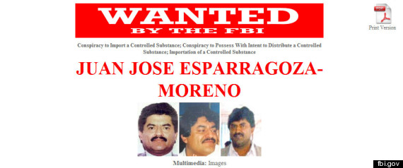 Esparragozamoreno