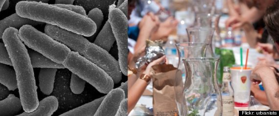 E Coli Picnic