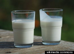 Milk