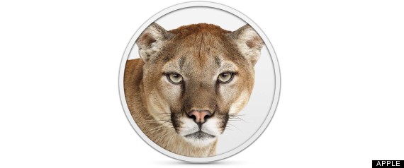 Moutain Lion Test