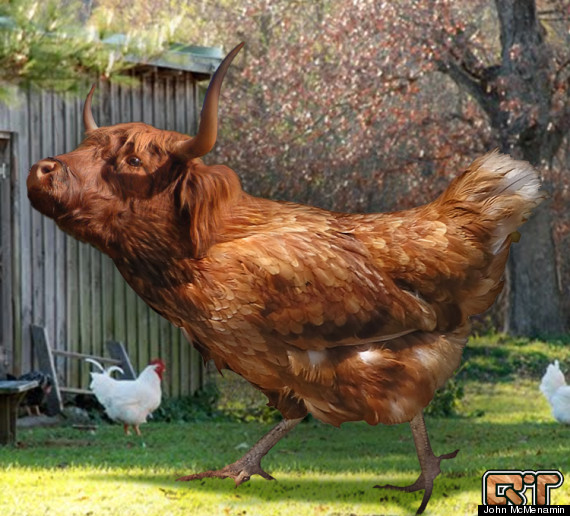 cockandbull