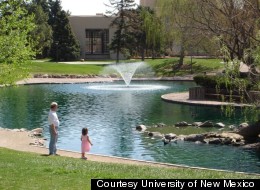 Duckpond