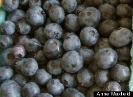 Wild Blueberry Tart