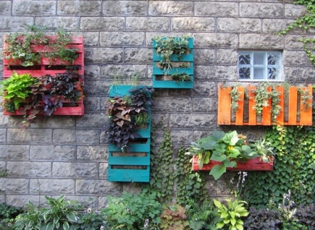 garden ideas diy Wooden Pallet Wall Garden | 640 x 468