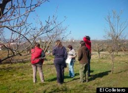 Las mujeres del Iregua recuperan huertas abandonadas