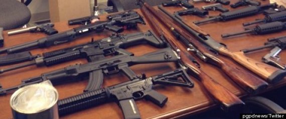 Maryland Shooting Plot Guns