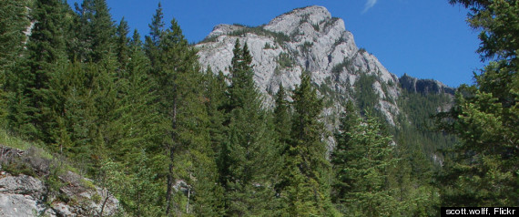 Heart Creek Trail