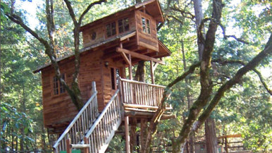 Treehouse Hotel