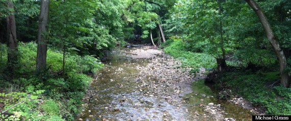Gore Vidal Rock Creek Park