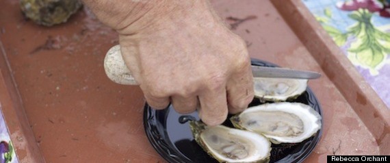 East Coast Oysters