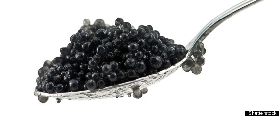 Caviar Illegal Trade