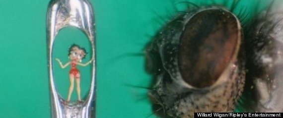 Willard Wigan Microscopic Art