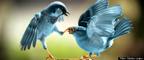 Twitter Apology