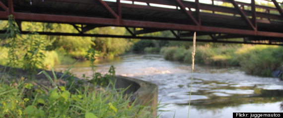 Dupage County Forest Preserve Investigation