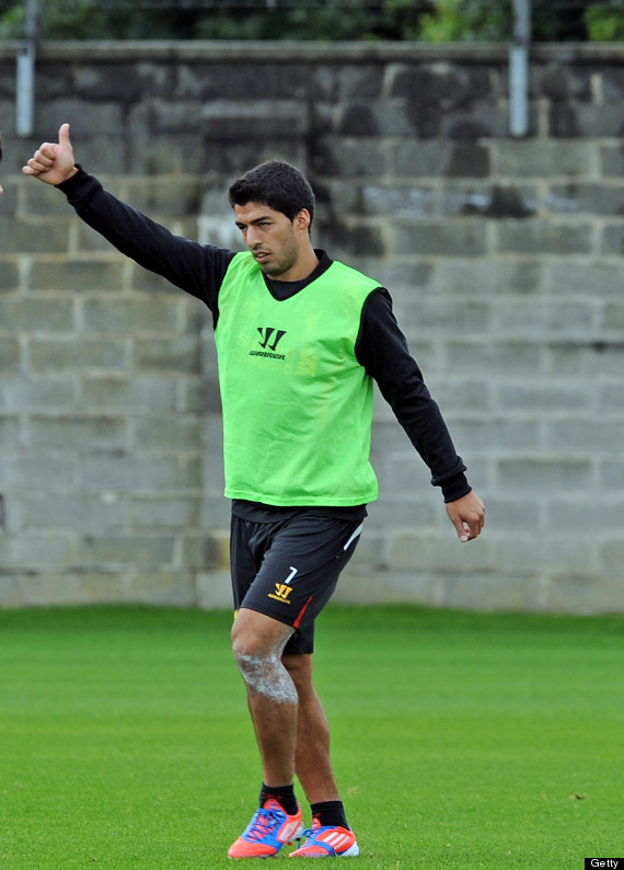 suarez
