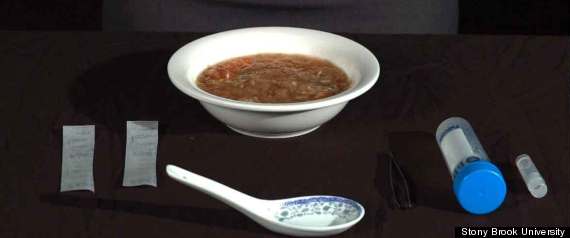 Endangered Shark Fin Soup