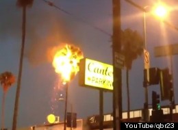 http://i.huffpost.com/gen/725681/thumbs/s-ODD-FUTURE-PALM-TREE-large.jpg