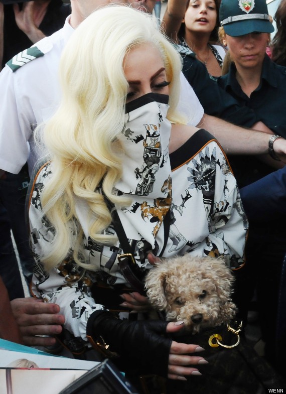 o-LADY-GAGA-570.jpg?4