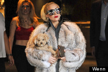 Puppy Love: Lady Gaga's Fur Coat And Furry Friend Take On The Bulgarian Summer