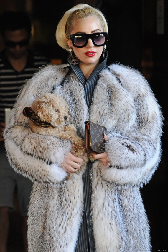 Lady Gaga Steps Out Wearing A Fur Coat But Keeps Fans Guessing If Its