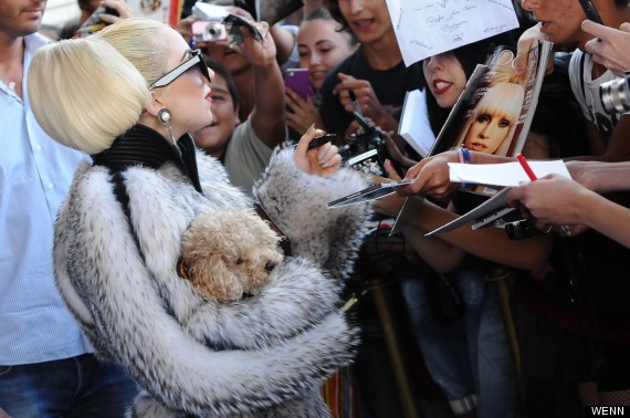 lady gaga