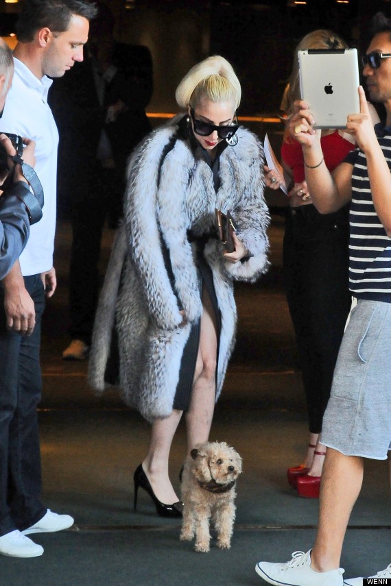 lady gaga