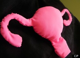 A Uterus For You Minister?