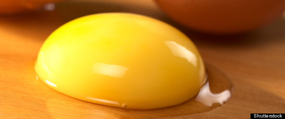 Egg Yolk
