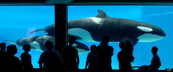 Marineland
