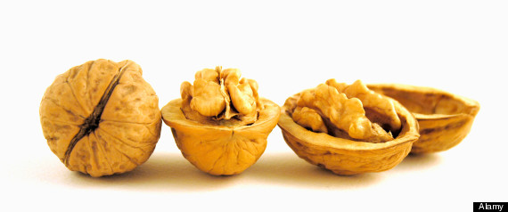 Walnut