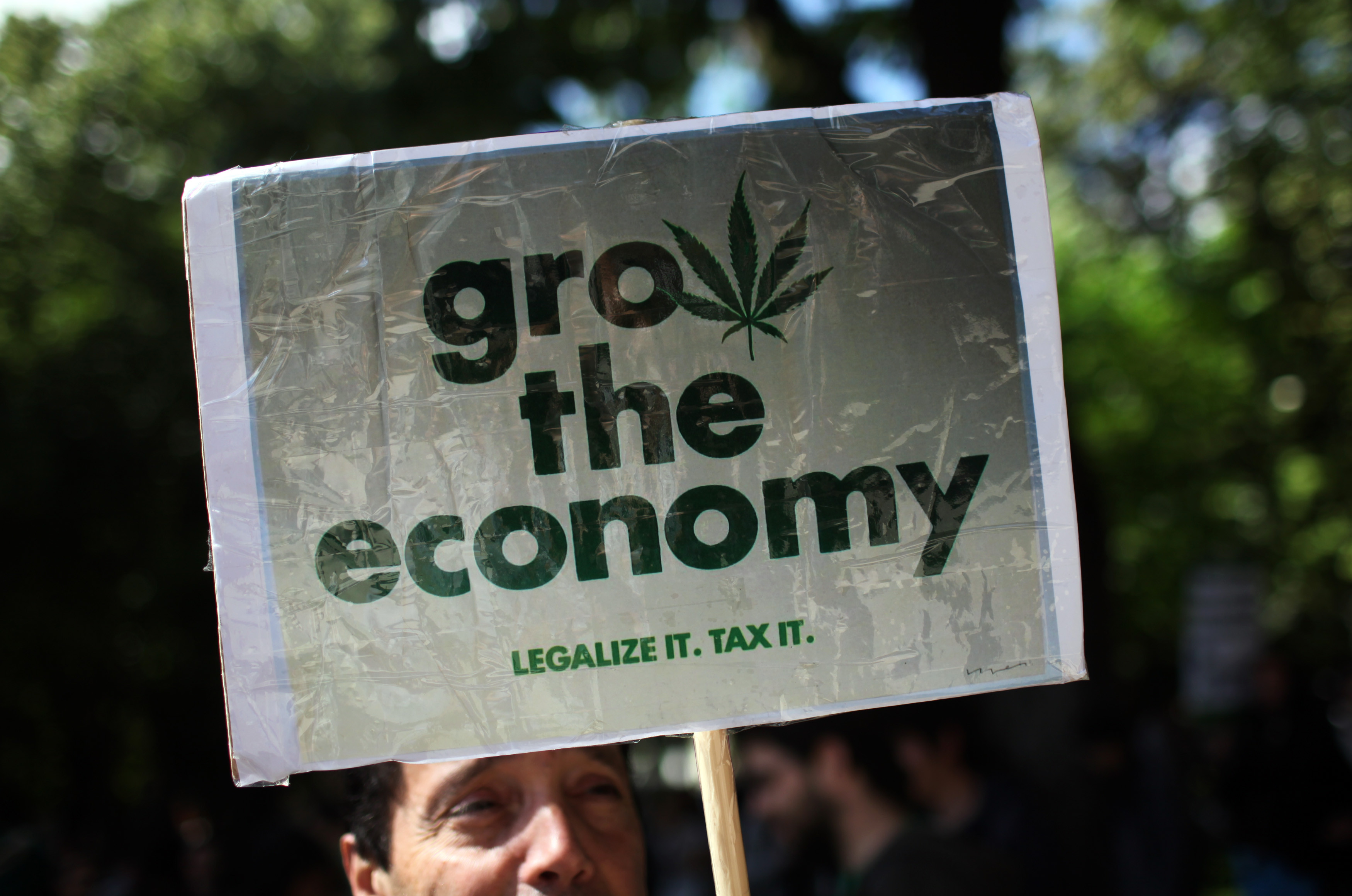 legalized marijuana revenue