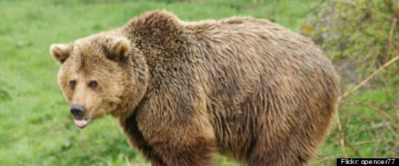 Ours